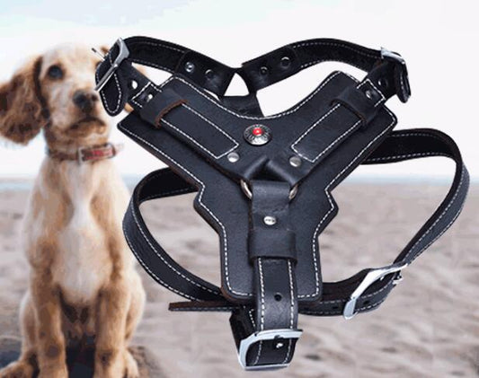 leather harness for dogs