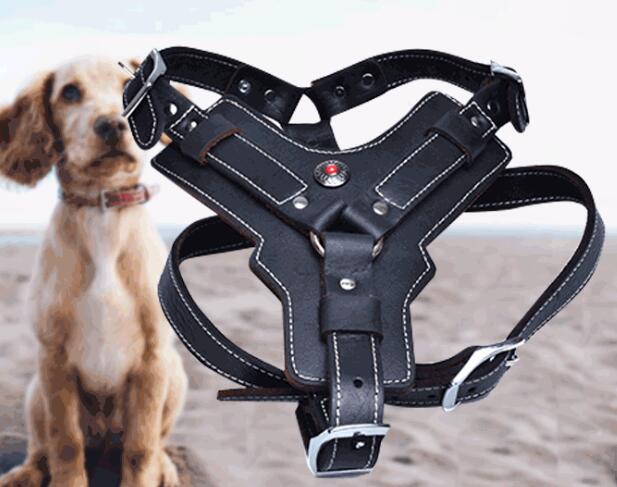 Genuine Leather Dog Harness, Leather harness for dogs89.99-(FREE Delivery) Shop now at itsaboutmydog.com, cane corso harness, great dane harness, harness for dogs leather, leather dog harness, leather harness, leather harness for dogs