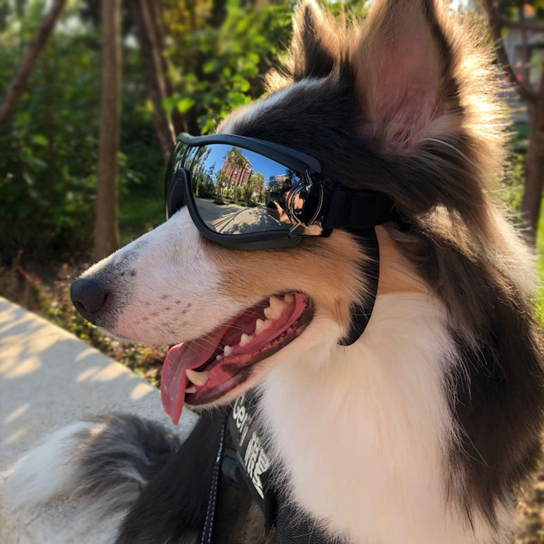 Pet Glasses Dog Sunglasses Law Fighting Supplies Strange Cat Sunglasses Small Dog Goggles Gold Chain Photo Accessories