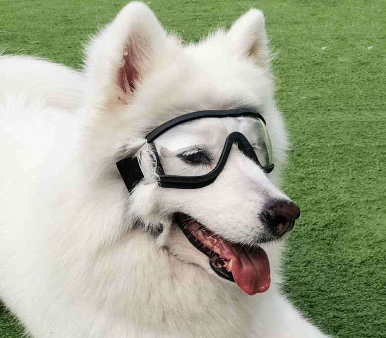 Pet Glasses Dog Sunglasses Law Fighting Supplies Strange Cat Sunglasses Small Dog Goggles Gold Chain Photo Accessories