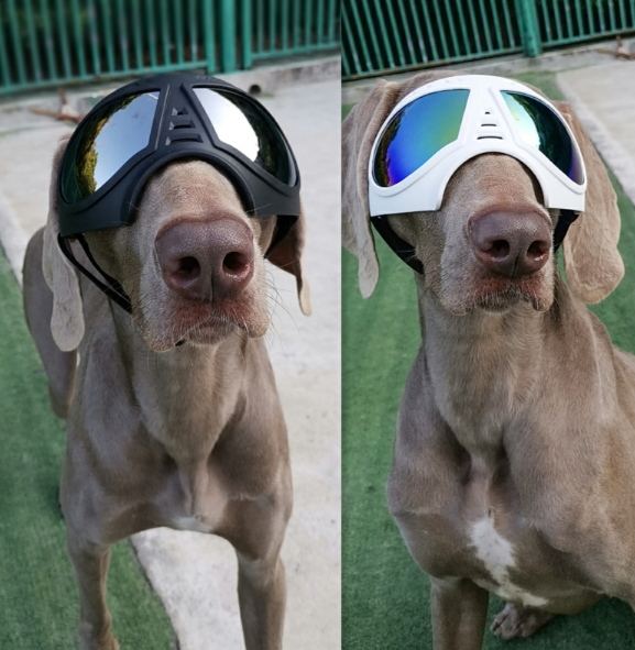 Dog Goggles, Dog Hunting Goggles, Tactical Dog Goggles27.99-(FREE Delivery) Shop now at itsaboutmydog.com, dog goggles for hunting, dog hunting goggles, hunting dog goggles, Motorcycle Goggles, tactical dog goggles